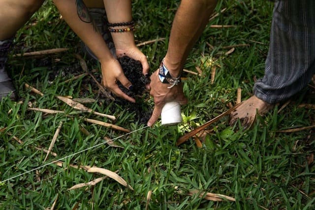 Deux paires de main sont en train de tracer une ligne dans l’herbe pour savoir où planter des arbres.