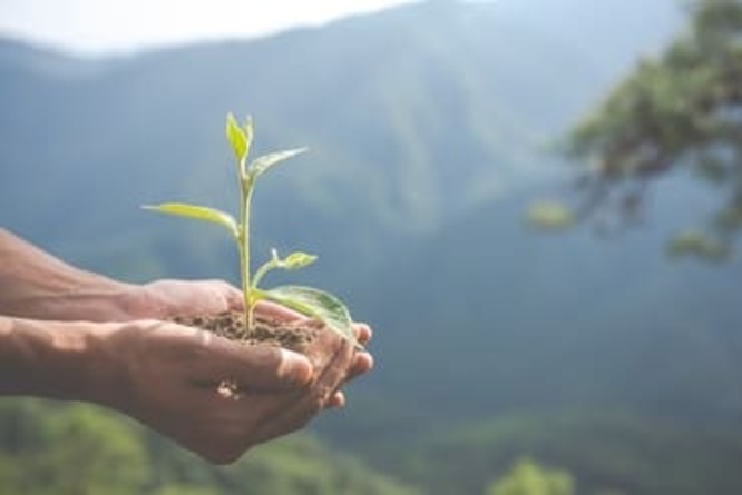 Une main tiens une plante, faisant alors référence au côté ESG.
