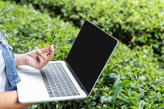 Un ordinateur entourée de feuille verte faisant référence à la nature, au recyclage et à l'ESG.